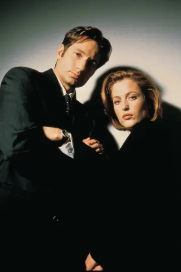 Poster for the TV series "The X-Files" #1251024