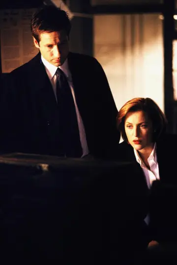 Poster for the TV series "The X-Files" #1251029