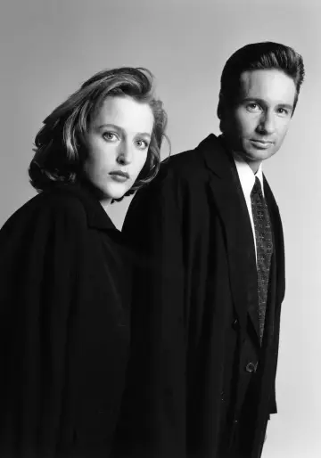 Poster for the TV series "The X-Files" #1251032