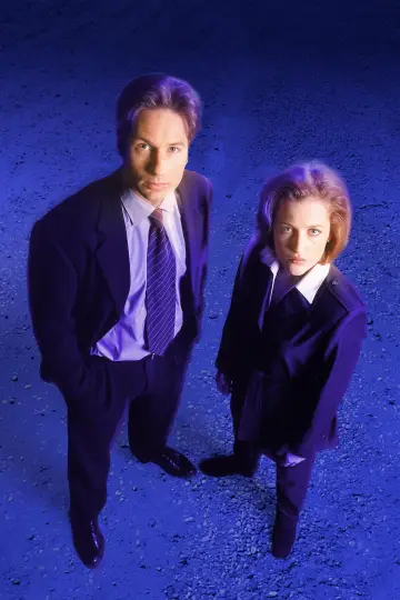Poster for the TV series "The X-Files" #1251034