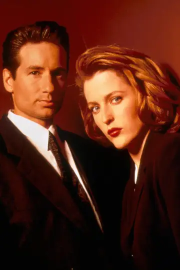 Poster for the TV series "The X-Files" #1251039