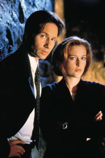Poster for the TV series "The X-Files" #1251041