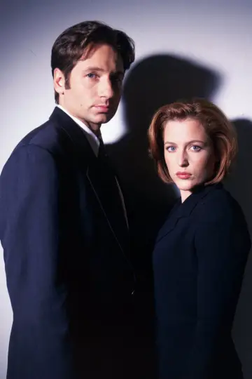 Poster for the TV series "The X-Files" #1251043