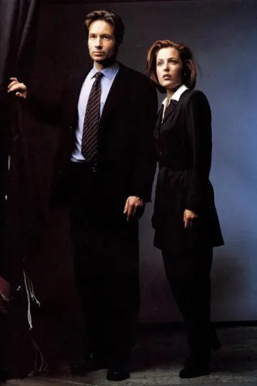 Poster for the TV series "The X-Files" #1251045