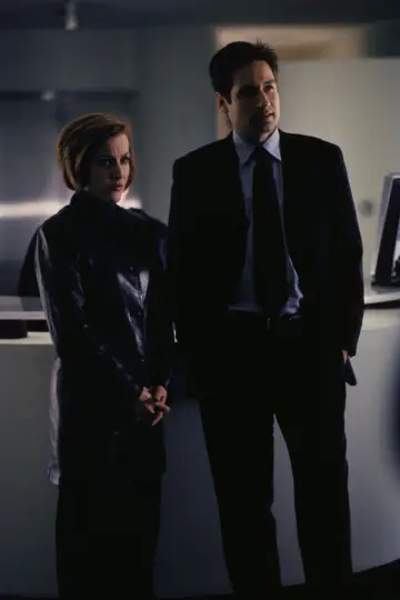 Poster for the TV series "The X-Files" #1251047