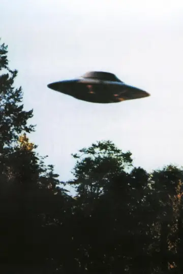Poster for the TV series "The X-Files" #1251088