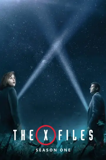 Poster for the TV series "The X-Files" #1265916