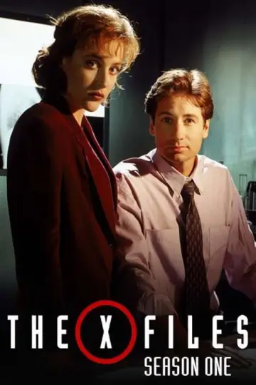 Poster for the TV series "The X-Files" #1265920