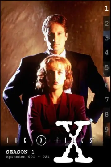 Poster for the TV series "The X-Files" #1265931
