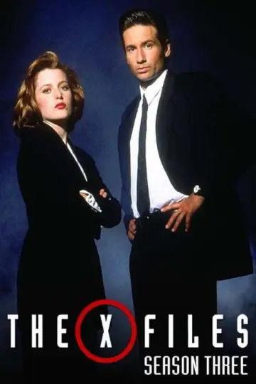 Poster for the TV series "The X-Files" #1265975