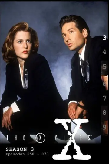 Poster for the TV series "The X-Files" #1265979