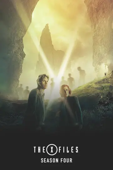 Poster for the TV series "The X-Files" #1266008
