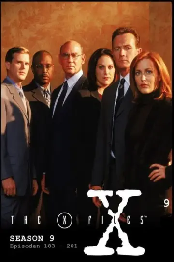Poster for the TV series "The X-Files" #1266132
