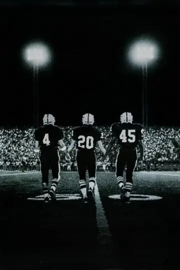 Poster for the TV series "Friday Night Lights" #1325324