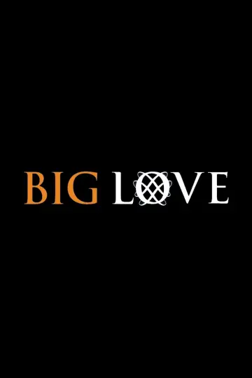 Poster for the TV series "Big Love" #1346695