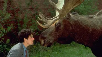 Backdrop к сериалу "Northern Exposure" #1301037