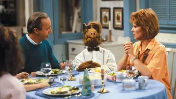 Backdrop for the TV series "ALF" #1329931