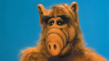 Backdrop for the TV series "ALF" #1329944