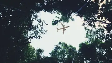 Backdrop for the TV series "Lost" #1245844