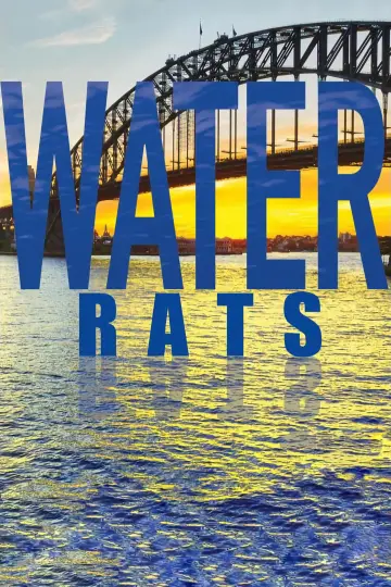 Poster for the TV series "Water Rats" #1339216