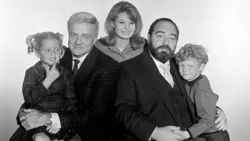 Backdrop for the TV series "Family Affair" #1378235