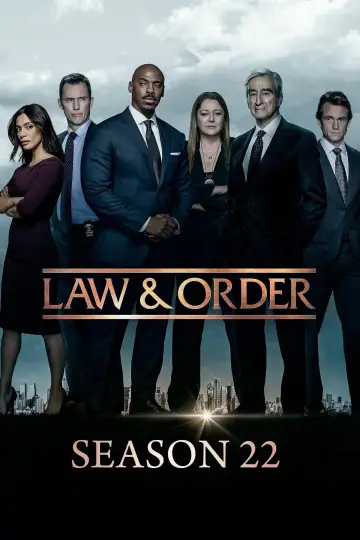 Poster for the TV series "Law & Order" #1238446