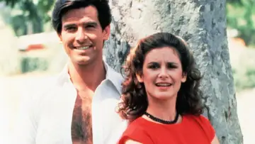 Backdrop for the TV series "Remington Steele" #1369969