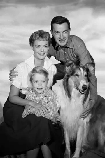 Poster к сериалу "Lassie" #1256936