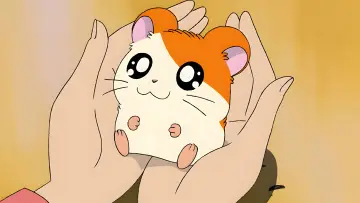 Backdrop for the TV series "Hamtaro" #1335492