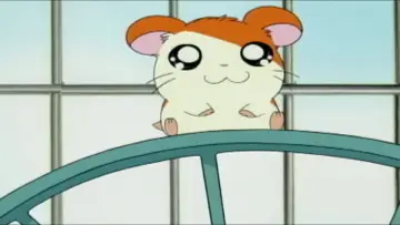 Backdrop for the TV series "Hamtaro" #1335493