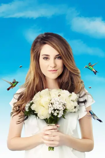 Poster for the TV series "The Secret Life of the American Teenager" #1333876