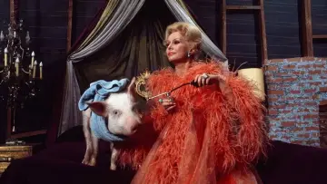 Backdrop for the TV series "Green Acres" #1307961