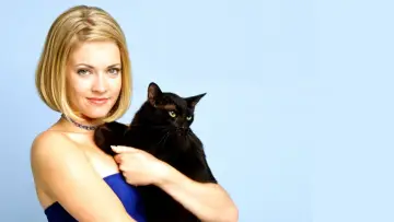 Backdrop for the TV series "Sabrina, the Teenage Witch" #1297845