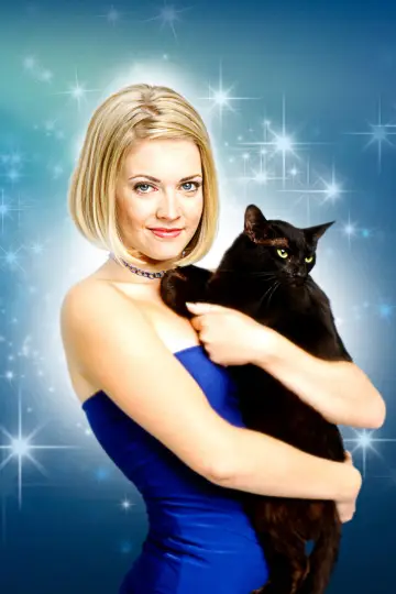 Poster for the TV series "Sabrina, the Teenage Witch" #1297885