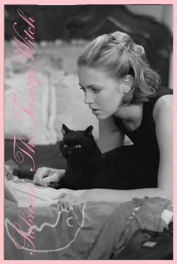 Poster for the TV series "Sabrina, the Teenage Witch" #1297931