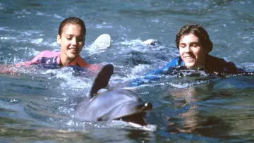 Backdrop for the TV series "Flipper" #1595480