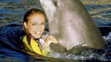 Backdrop for the TV series "Flipper" #1595484