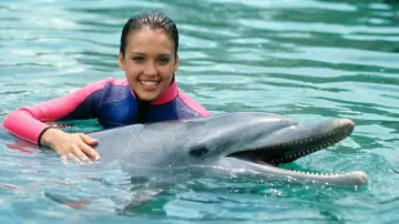 Backdrop for the TV series "Flipper" #1595486