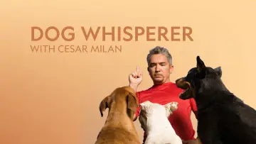 Backdrop for the TV series "Dog Whisperer" #1444527