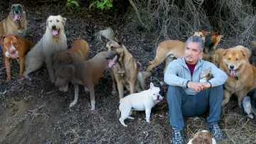 Backdrop for the TV series "Dog Whisperer" #1444531