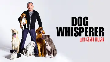 Backdrop for the TV series "Dog Whisperer" #1444533