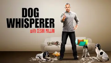 Backdrop for the TV series "Dog Whisperer" #1444534