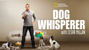 Backdrop for the TV series "Dog Whisperer" #1444535