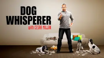 Backdrop for the TV series "Dog Whisperer" #1444536