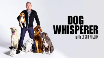 Backdrop for the TV series "Dog Whisperer" #1444537