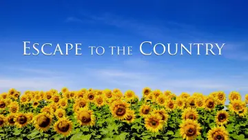 Backdrop for the TV series "Escape to the Country" #1220990