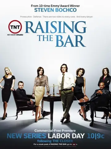 Poster for the TV series "Raising the Bar" #1589040
