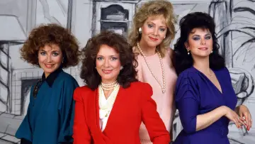 Backdrop for the TV series "Designing Women" #1366129