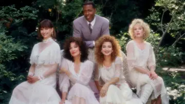 Backdrop for the TV series "Designing Women" #1366135