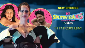 Backdrop for the TV series "MTV Splitsvilla" #1355007